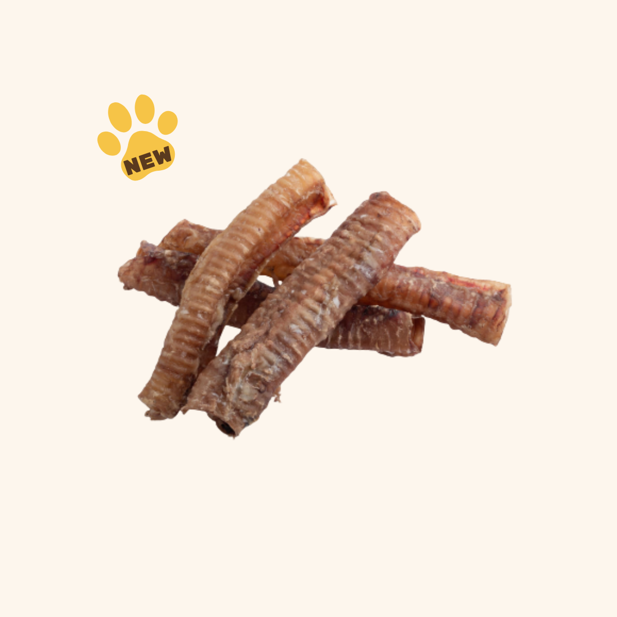 Lamb Trachea