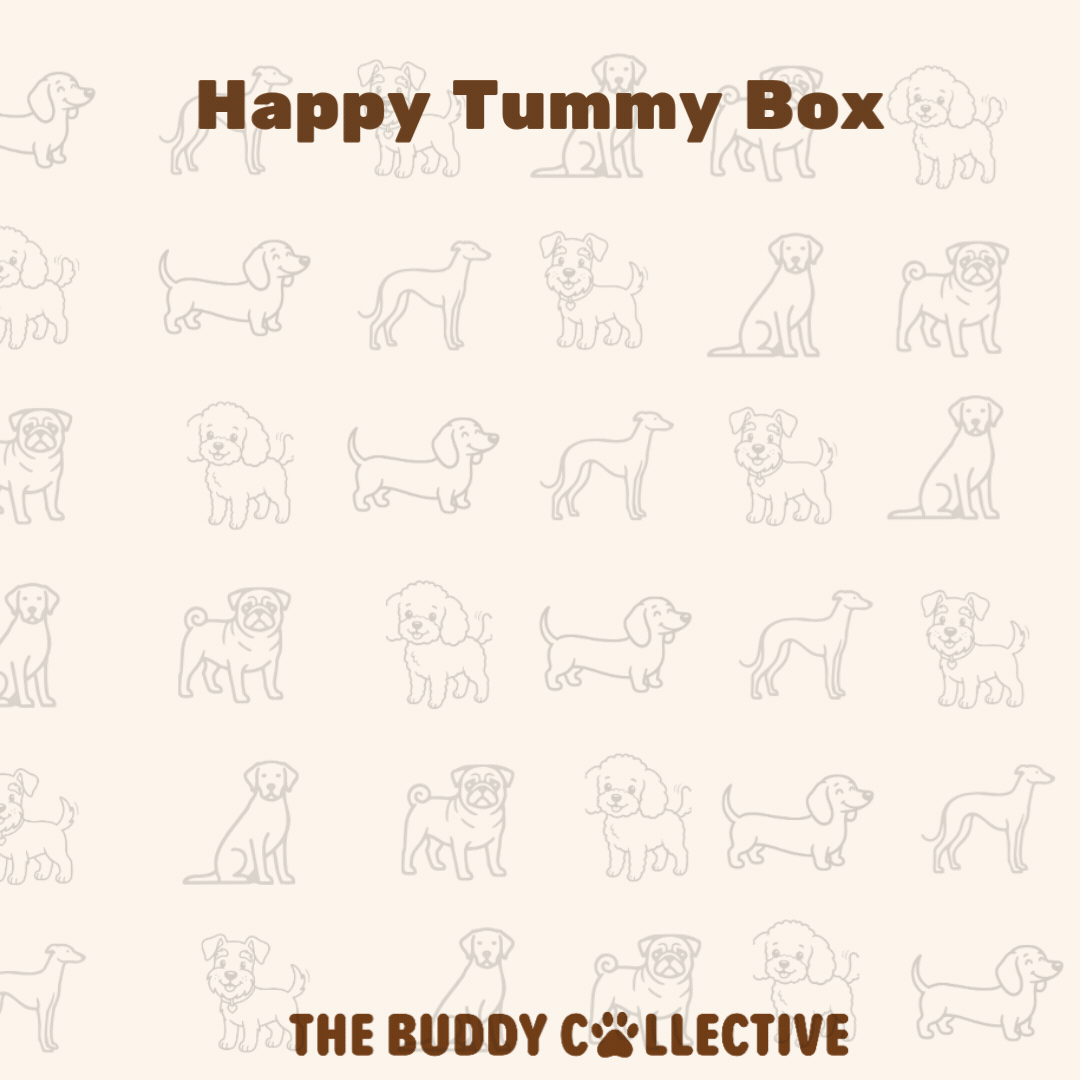 Happy Tummy Box