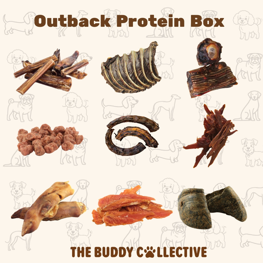 Outback Protein Box
