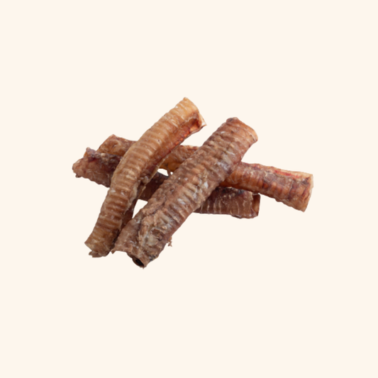 Lamb Trachea