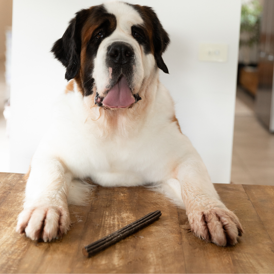 Large Sticks