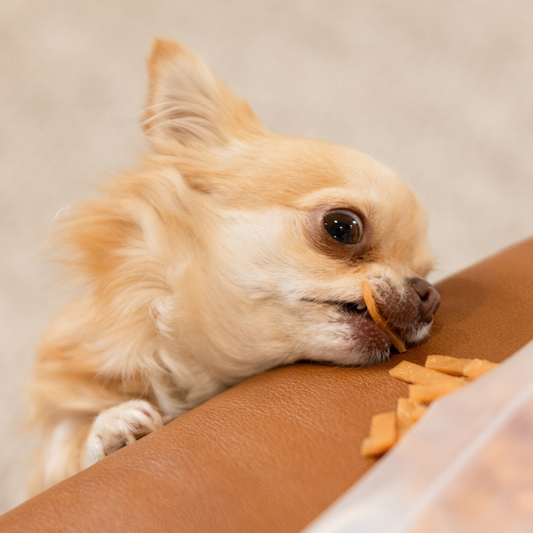 Chicken Jerky Strips