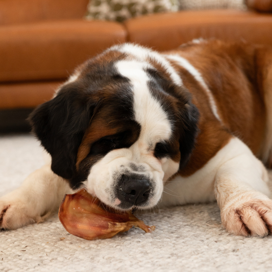Pigs Ears