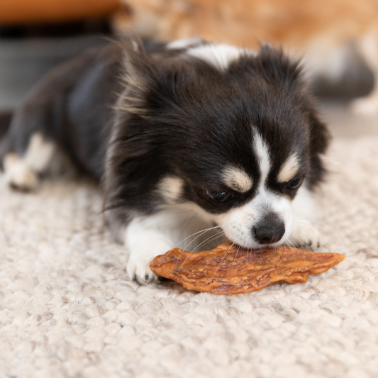 Duck Jerky
