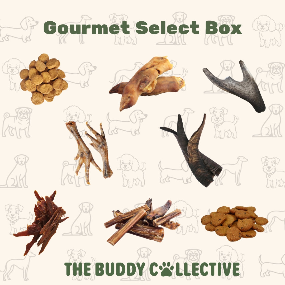 Gourmet Select Box