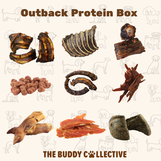 Outback Protein Box