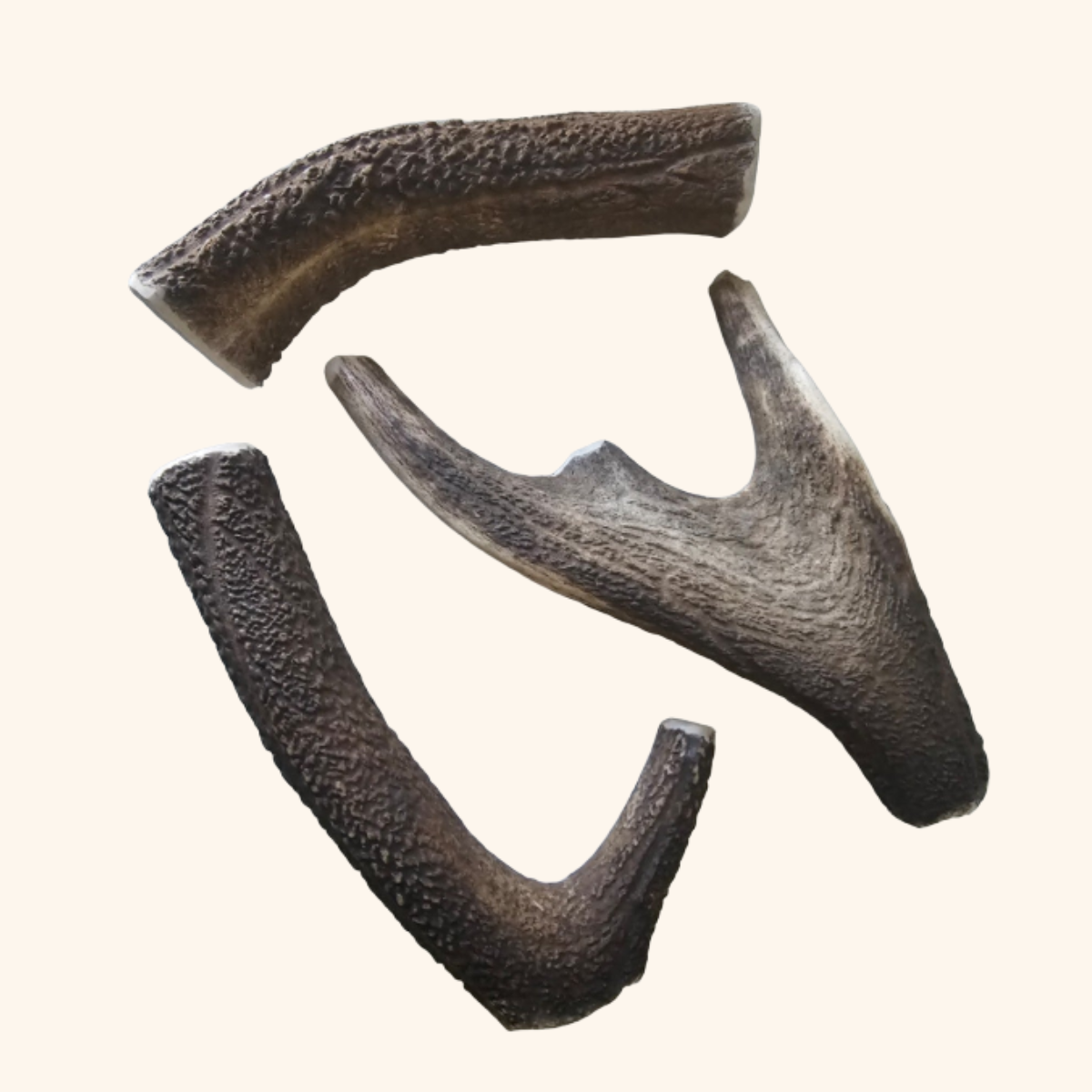 Deer Antlers