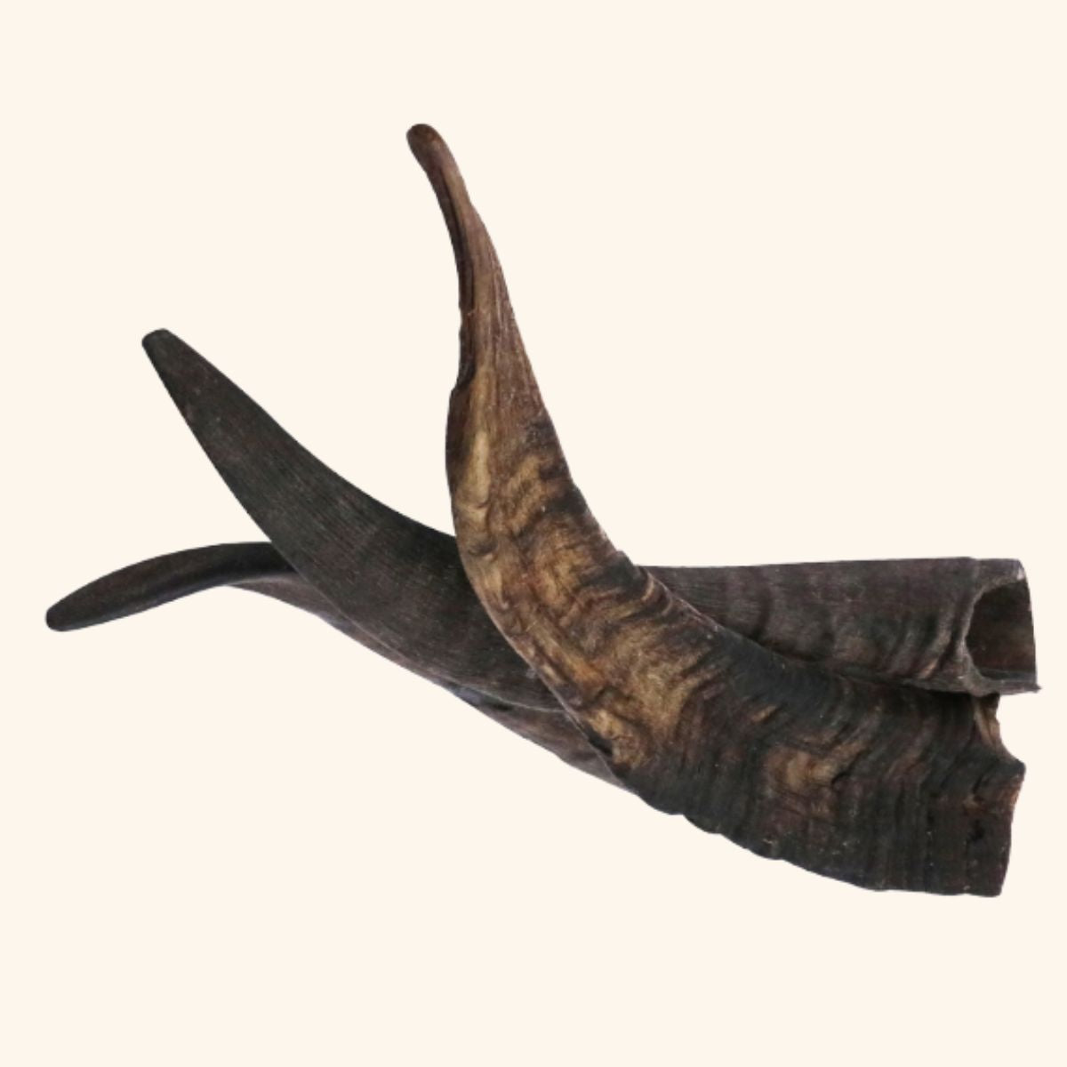 Goat Horns