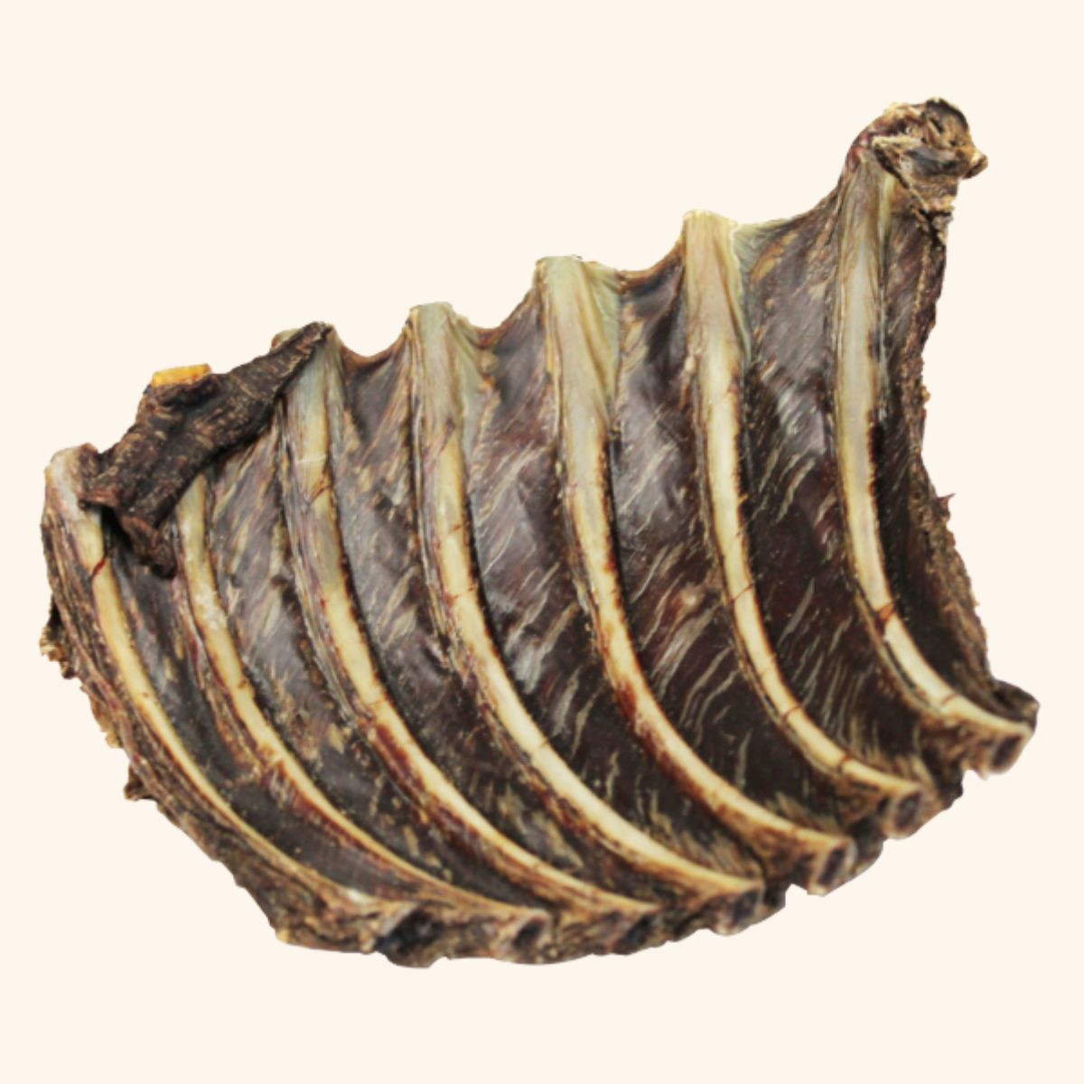 Kangaroo Ribs