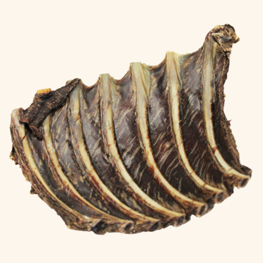 Kangaroo Ribs
