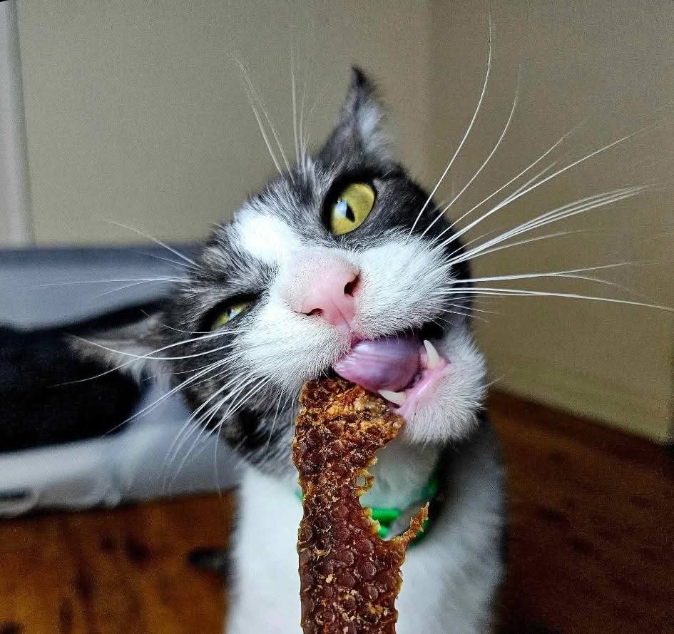 Chicken Jerky