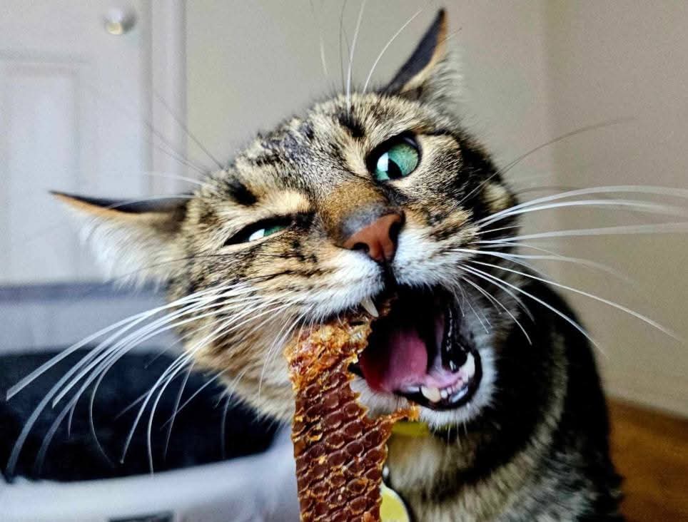 Chicken Jerky